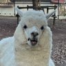 Profilbild von makiko