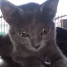 Profilbild von Orlando