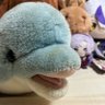 ヒビキ/ポー's profile picture