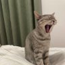 zerohata 的头像