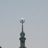 Фото профиля Sohail Shaikh