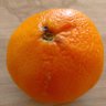 gromenague's profile picture