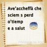 Antonella's profile picture
