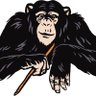 Profilbild von WE RAID THEY APE 🦍