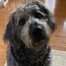 Stacey's profile picture