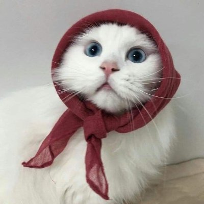 Hari ini's profile picture