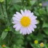 Фото профиля onnee888