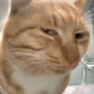 waiwia2686071's profile picture
