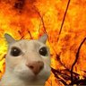 Profilbild von David Benjamin
