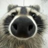 Rex Sora's profile picture