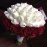 Фото профиля حلقه وصل