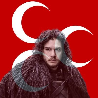 mhpliconsinov's profile picture