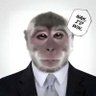 bostinhaaa's profile picture