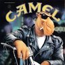 Camel's profile picture