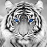 Coach Steve's profile picture