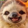 Profilbild von Sloth-Kun