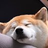 Profilbild von silvs
