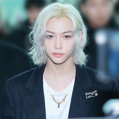 xingfulee's profile picture