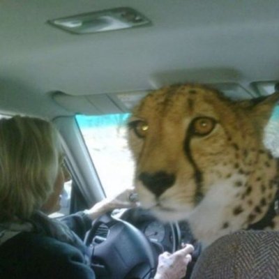 nemcontext's profile picture