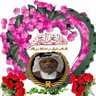 Фото профиля السلوم حب المظلوم