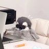 Birdo profil fotoğrafı