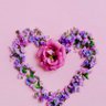 Profilbild von Love&funplus