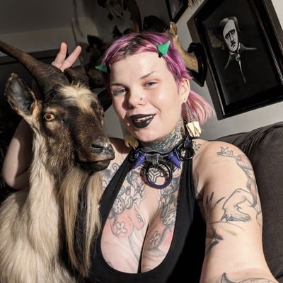 SindySchism No paywall 💦's profile picture