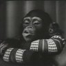 sarmanik's profile picture