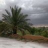 Profilbild von عبدالعزيز القحطاني