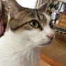 りょん profil fotoğrafı