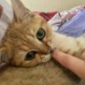 Петруша 的头像