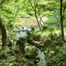 Фото профиля デコポン