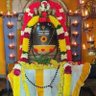 Kaycee Chan 的头像