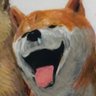 古株にわか(🐯寄り野球ファン)'s profile picture