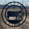 Landers Farm (SamLanders) profil fotoğrafı