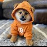 Profilbild von crypto savant(Ø,G)