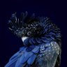 Фото профиля anon23