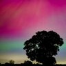 Strawbs's profile picture
