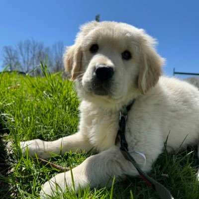 Jaeden (supervised)'s profile picture