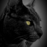 eduardooee74's profile picture