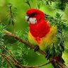 Фото профиля NATURE IS AMAZING🦘🦋🦋