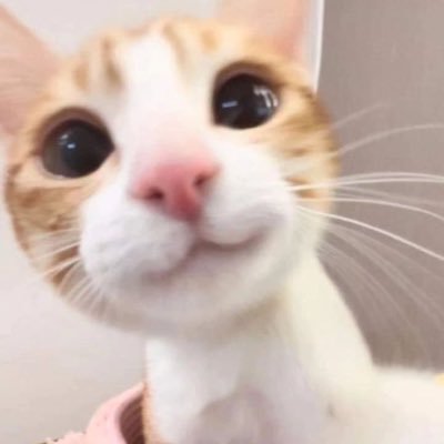 식삼이's profile picture