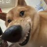 Фото профиля Mr.Jay