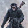 guiovanny G's profile picture