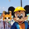 みーこ🐱🐯🦁's profile picture