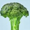Profilbild von EssenceofBroccoli