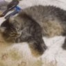 Darco profil fotoğrafı