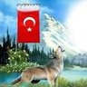 TÜRKÇÜ ALİ profil fotoğrafı