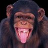 Musecoba profil fotoğrafı