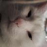 Profilbild von Lexivo